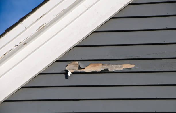 Affordable Siding Repair and Maintenance Services in Fillmore, CA